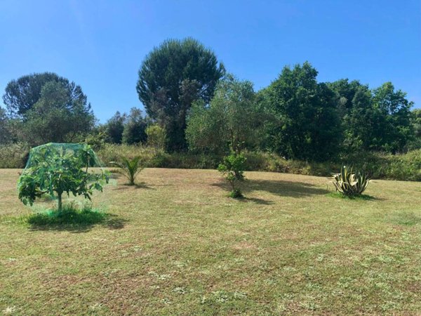 terreno agricolo in vendita a Suvereto