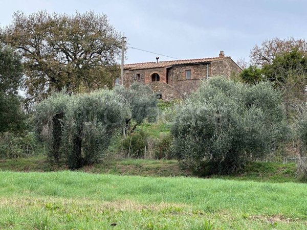 casa indipendente in vendita a Suvereto
