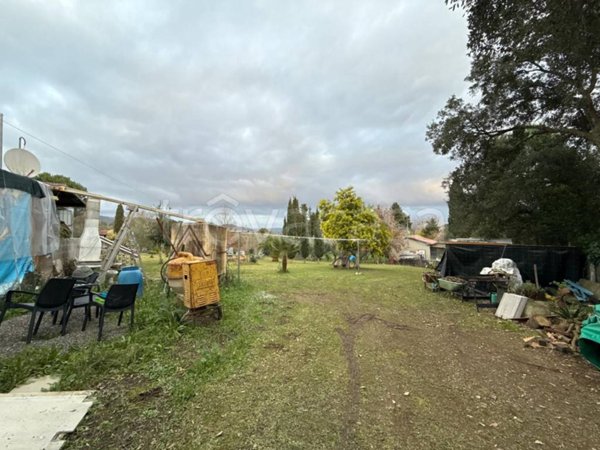 terreno agricolo in vendita a Suvereto