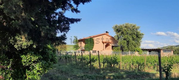 casa indipendente in vendita a Suvereto