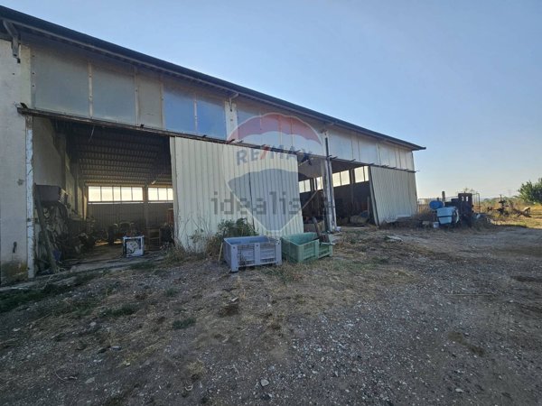 capannone in vendita a Suvereto