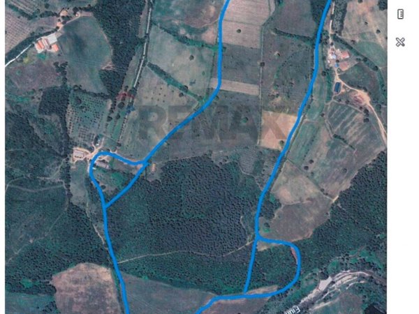 casale in vendita a Suvereto