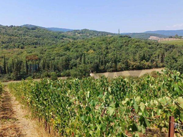 casale in vendita a Suvereto