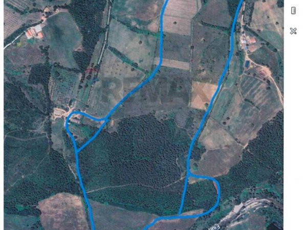 terreno agricolo in vendita a Suvereto