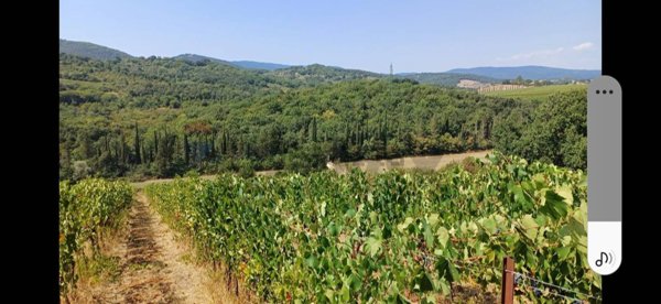 azienda agricola in vendita a Suvereto