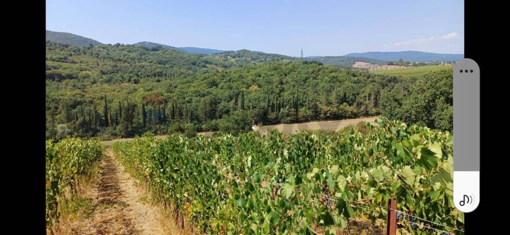 casale in vendita a Suvereto