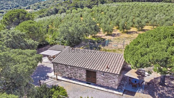 casale in vendita a Suvereto