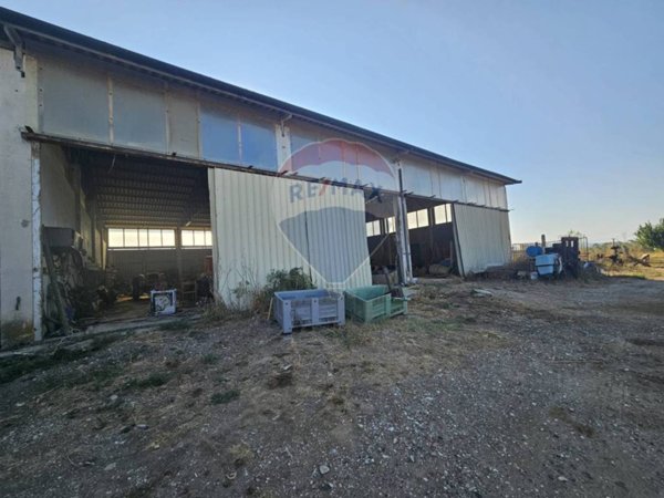 negozio in vendita a Suvereto