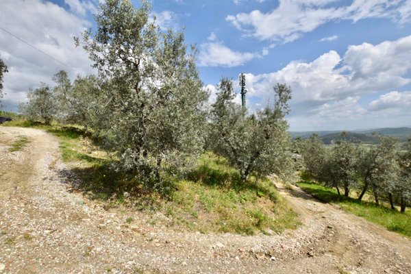 terreno agricolo in vendita a Suvereto