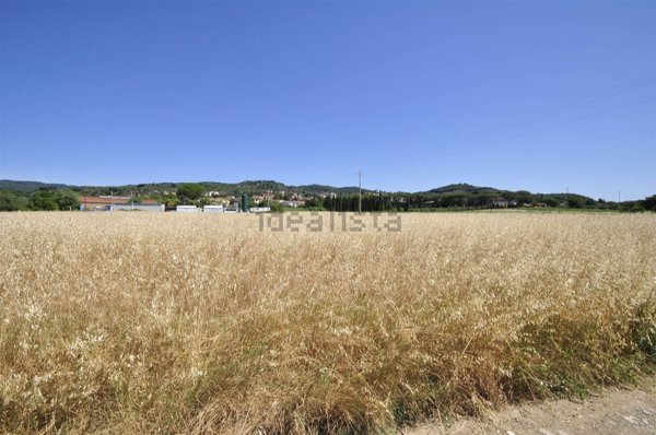 terreno agricolo in vendita a Suvereto