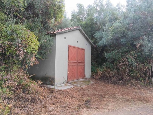 casa indipendente in vendita a Suvereto