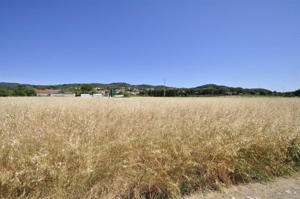 terreno agricolo in vendita a Suvereto