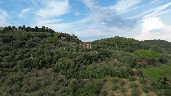 casa indipendente in vendita a Suvereto in zona Belvedere