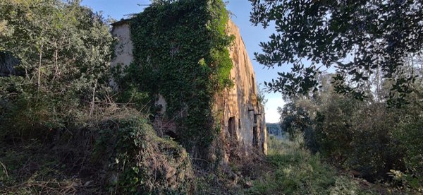 pentavano in vendita a Rio in zona Rio Marina