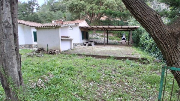 casa indipendente in vendita a Rio in zona Rio Marina