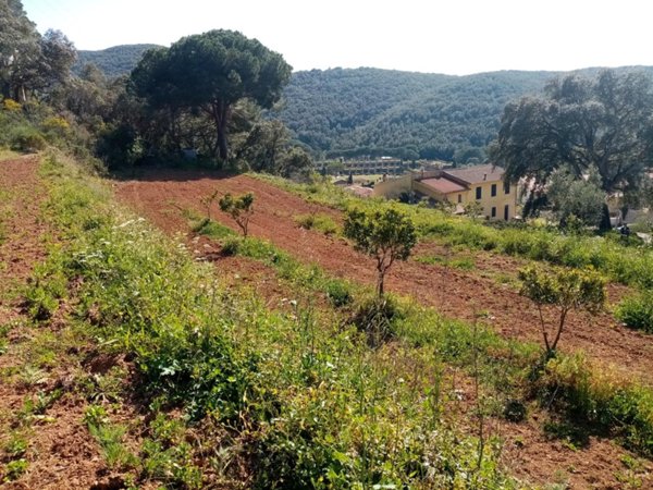 negozio in vendita a Rio in zona Rio nell'Elba