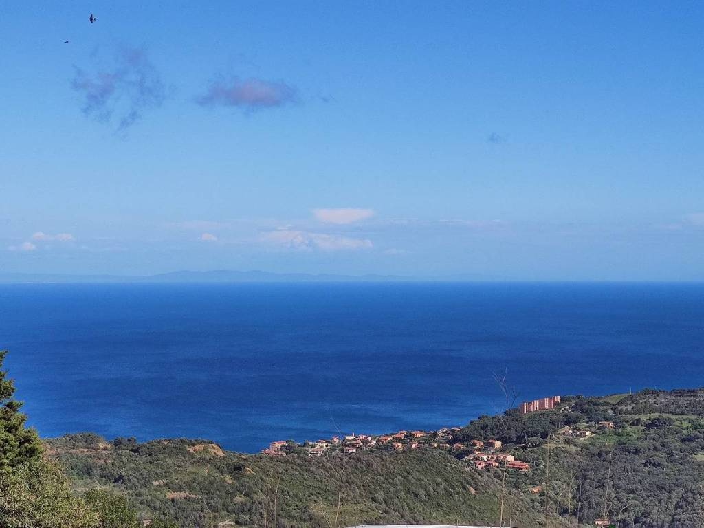 terreno agricolo in vendita a Rio in zona Rio nell'Elba