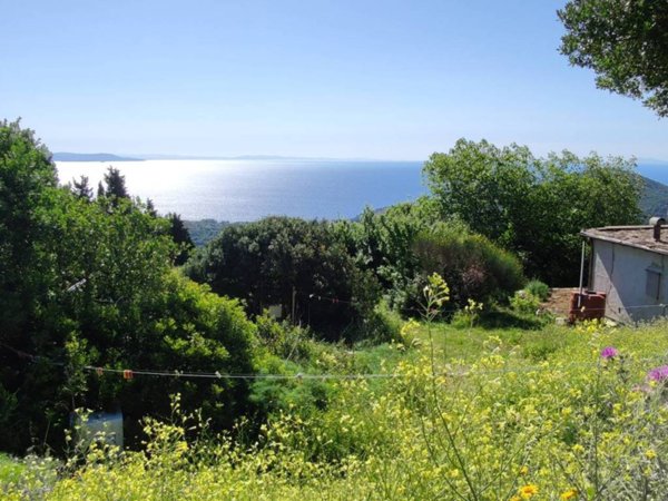 terreno agricolo in vendita a Rio in zona Rio nell'Elba