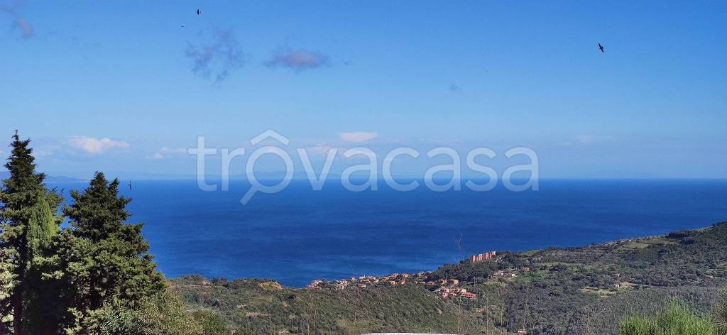 terreno agricolo in vendita a Rio in zona Rio nell'Elba