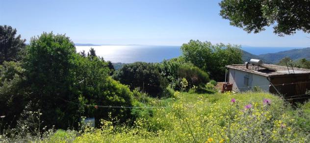 terreno agricolo in vendita a Rio in zona Rio nell'Elba