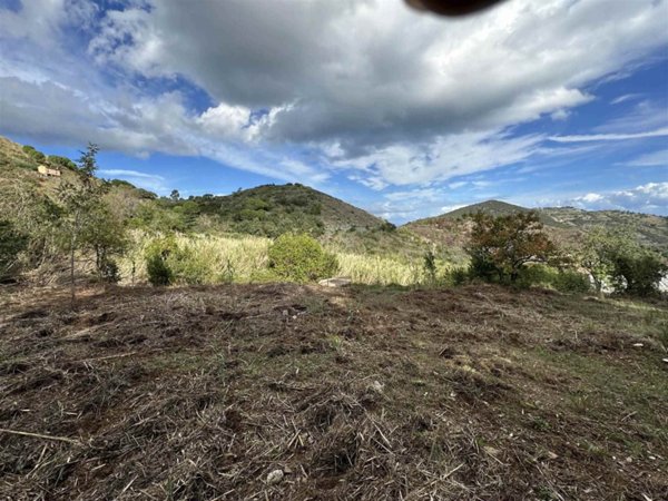 terreno agricolo in vendita a Rio