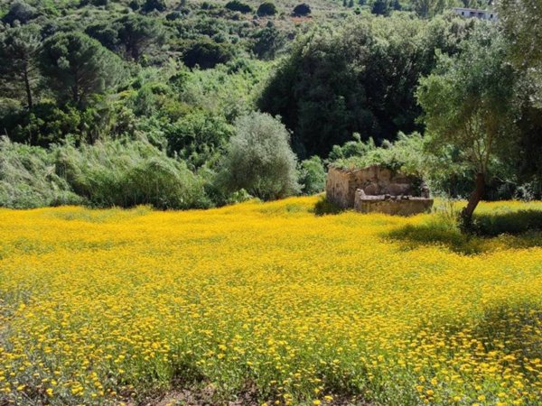 casa indipendente in vendita a Rio in zona Rio nell'Elba