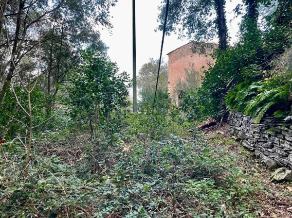 casa indipendente in vendita a Rio in zona Rio Marina