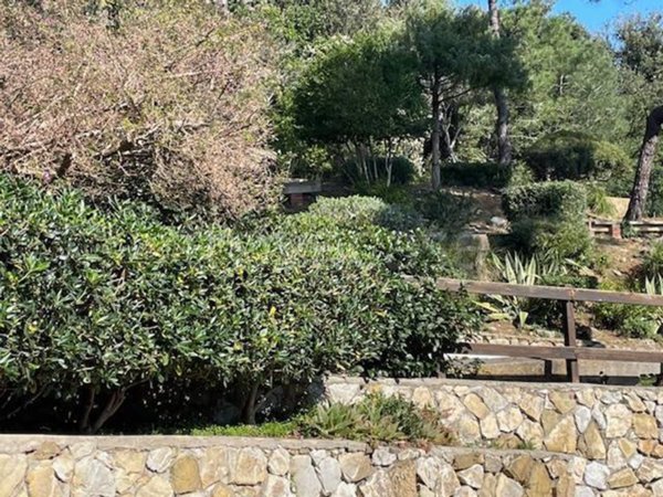 appartamento in vendita a Rio in zona Cavo