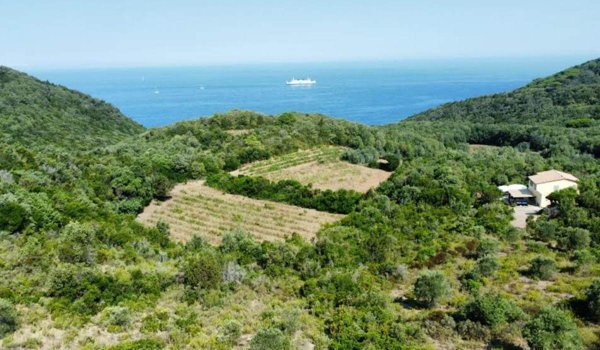 casa indipendente in vendita a Rio in zona Rio Marina