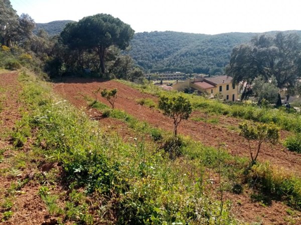 terreno agricolo in vendita a Rio