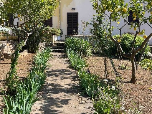 appartamento in vendita a Rio in zona Rio nell'Elba