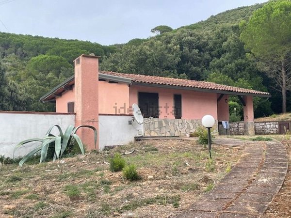 esavano in vendita a Rio in zona Cavo