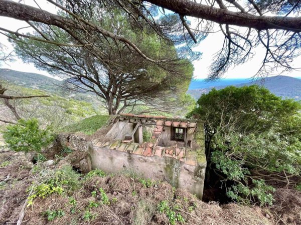 casa indipendente in vendita a Rio in zona Rio nell'Elba