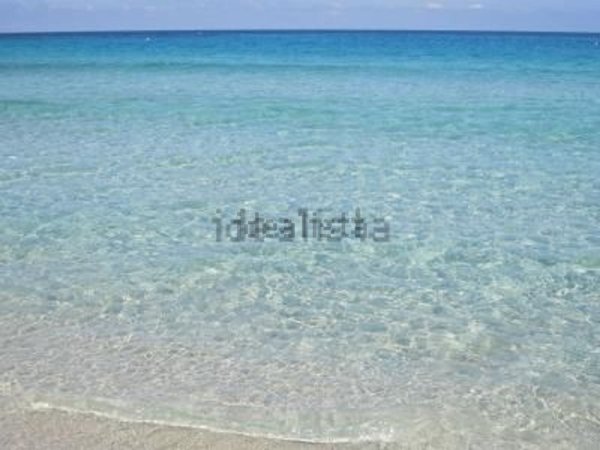 appartamento in vendita a Rio in zona Cavo