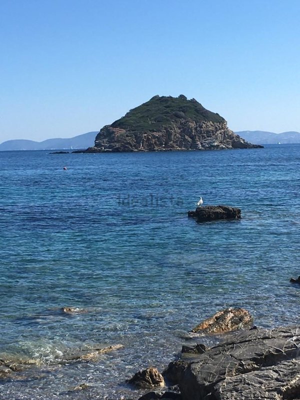 appartamento in vendita a Rio in zona Rio Marina