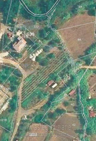 terreno agricolo in vendita a Rio in zona Rio nell'Elba