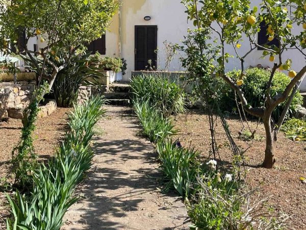 appartamento in vendita a Rio