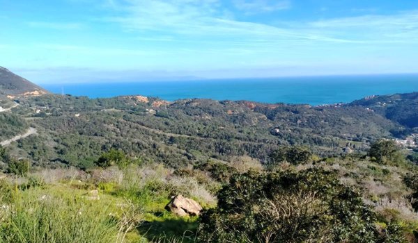 casa indipendente in vendita a Rio