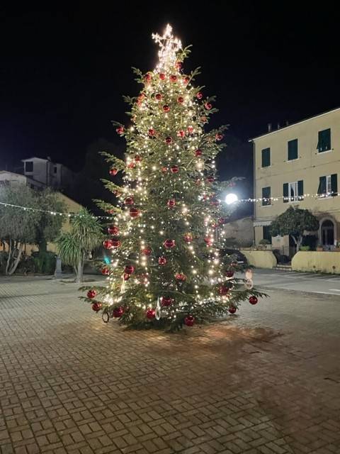 appartamento in vendita a Rio in zona Cavo