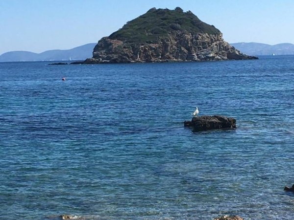 appartamento in vendita a Rio in zona Cavo