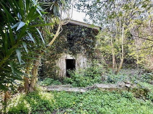 casa indipendente in vendita a Rio in zona Rio Marina