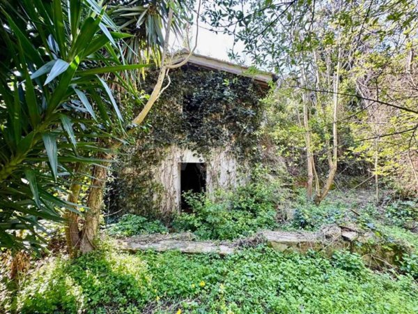 casa indipendente in vendita a Rio in zona Rio Marina