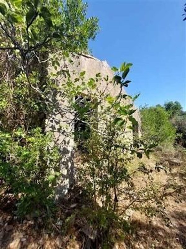 appartamento in vendita a Rio in zona Rio Marina