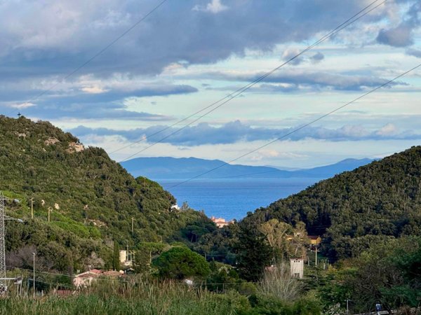 terreno agricolo in vendita a Rio in zona Rio Marina