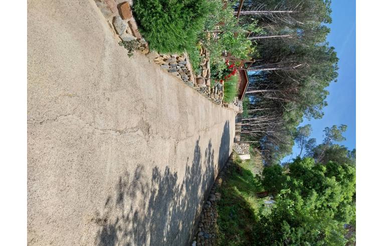 casa indipendente in vendita a Rio in zona Rio Marina