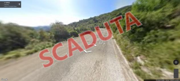 terreno agricolo in vendita a Rio in zona Rio nell'Elba