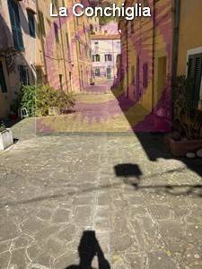 appartamento in vendita a Rio in zona Rio nell'Elba