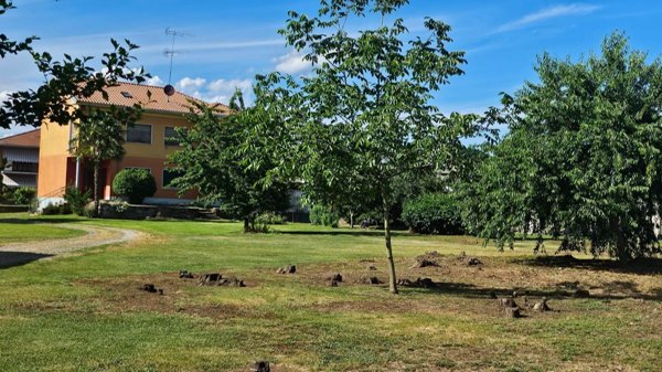 casa indipendente in vendita a Fontaneto d'Agogna in zona Baraggia