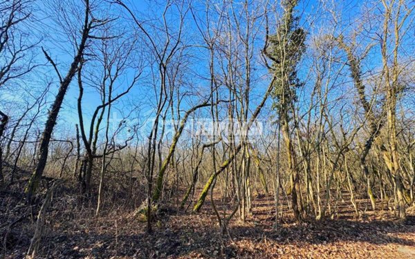 terreno agricolo in vendita a Galliate