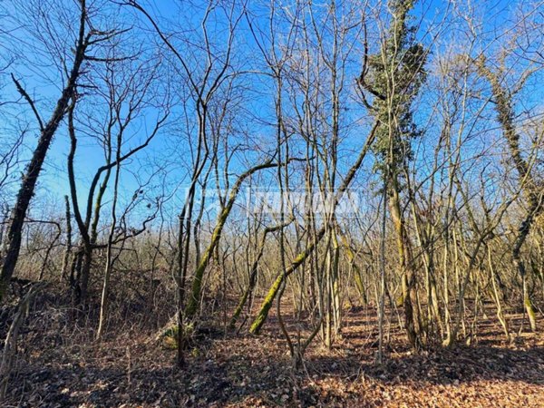 terreno agricolo in vendita a Galliate